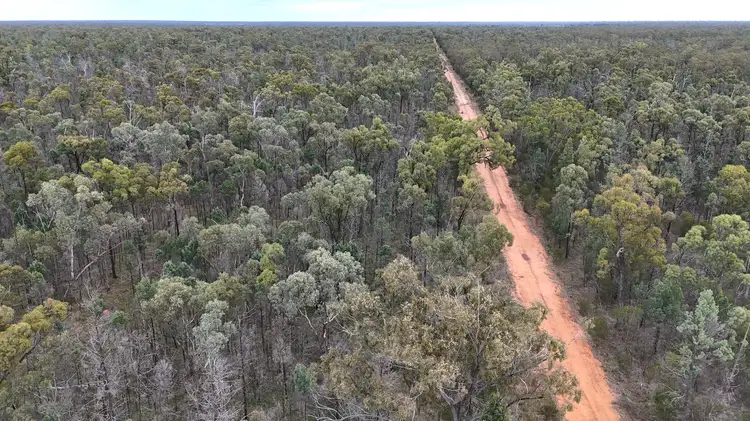 Second view of Homely rural property listing, Lots 1 & N Yagaburne-Boondandilla Road, Boondandilla QLD 4406