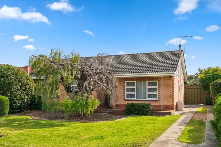 Main view of Homely house listing, 16 Clyde Street, Marion SA 5043
