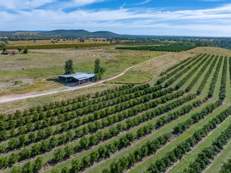 Sixth view of Homely rural property listing, 111 Old Gayndah Mundubbera Road, Gayndah QLD 4625