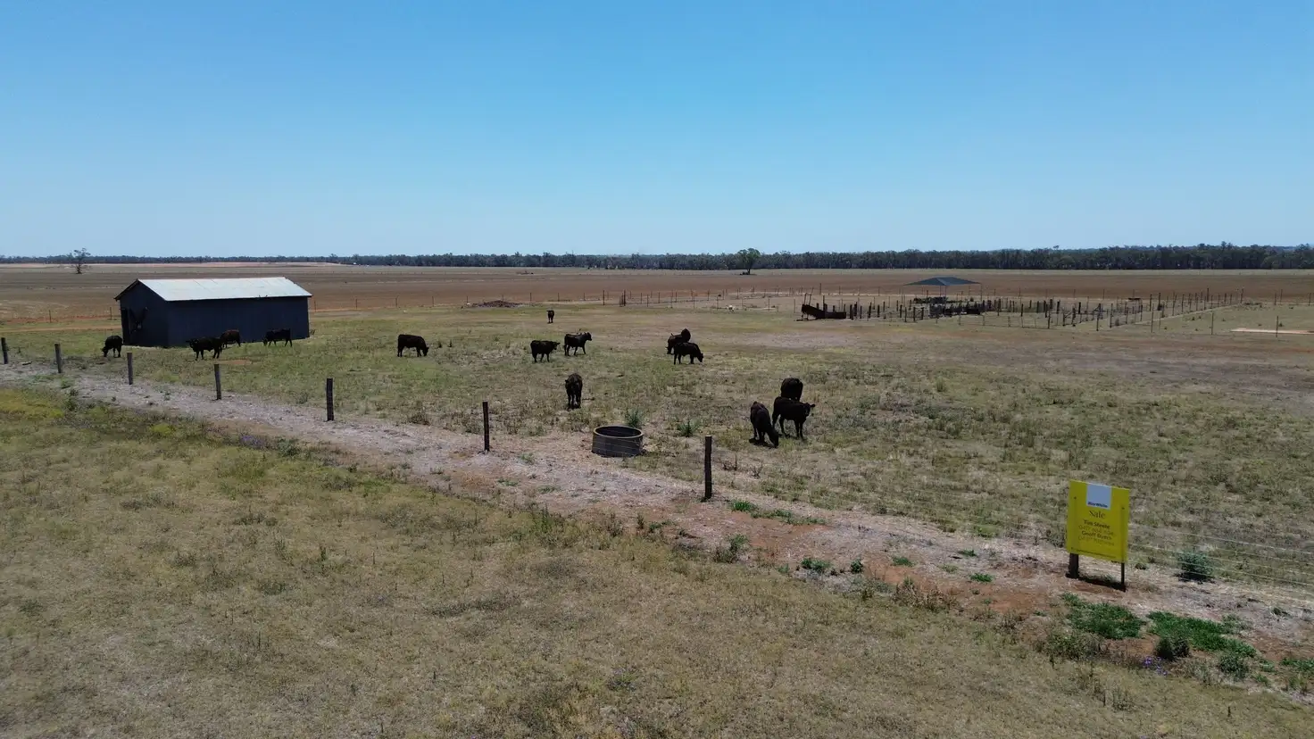 Main view of Homely rural property listing, Lot 1 Brymaroo Irvingdale Road, Brymaroo QLD 4403