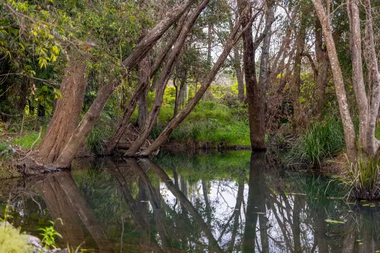 Third view of Homely rural property listing, 60 Coonoongibber Creek Road, Brooloo QLD 4570