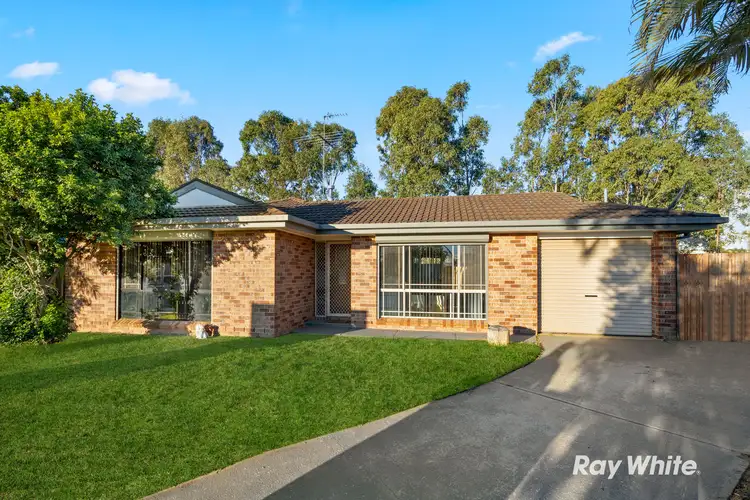 Main view of Homely house listing, 19 Natalie Place, Oakhurst NSW 2761