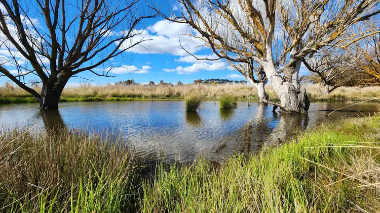 1084 Springrange Road, Springrange NSW 2618
