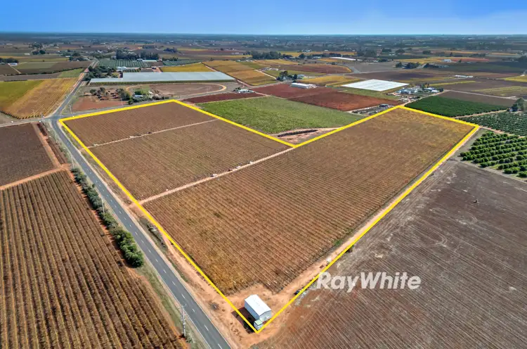 Main view of Homely rural property listing, 360-361 Myall Street, Red Cliffs VIC 3496