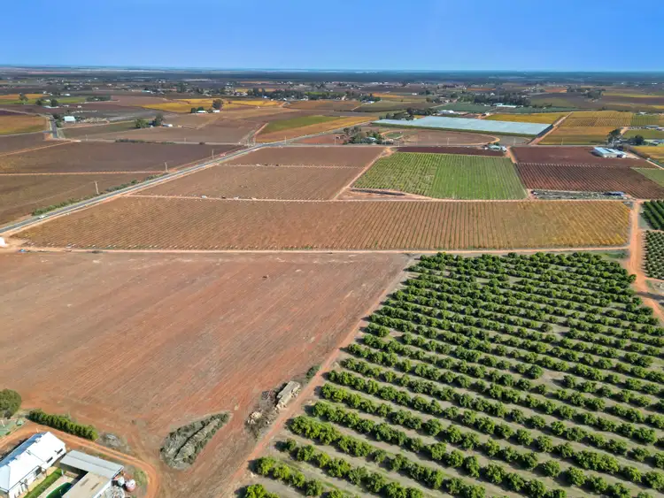 Second view of Homely rural property listing, 360-361 Myall Street, Red Cliffs VIC 3496