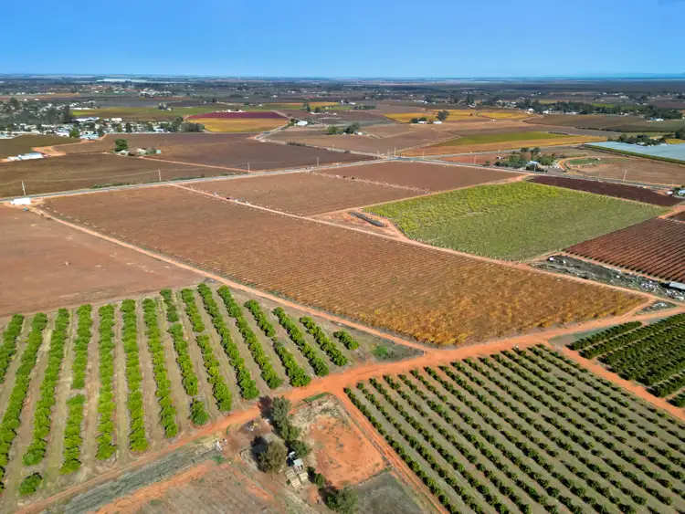 Third view of Homely rural property listing, 360-361 Myall Street, Red Cliffs VIC 3496