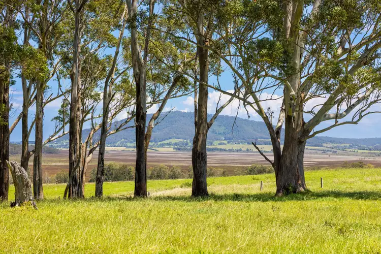 Third view of Homely land listing, Lot 10 "Serenity Ridge", 510 Beach Road, Berry NSW 2535
