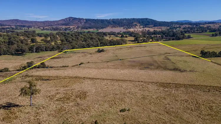 Third view of Homely rural property listing, Lot 31 Nindooinbah Estate Road, Nindooinbah QLD 4285