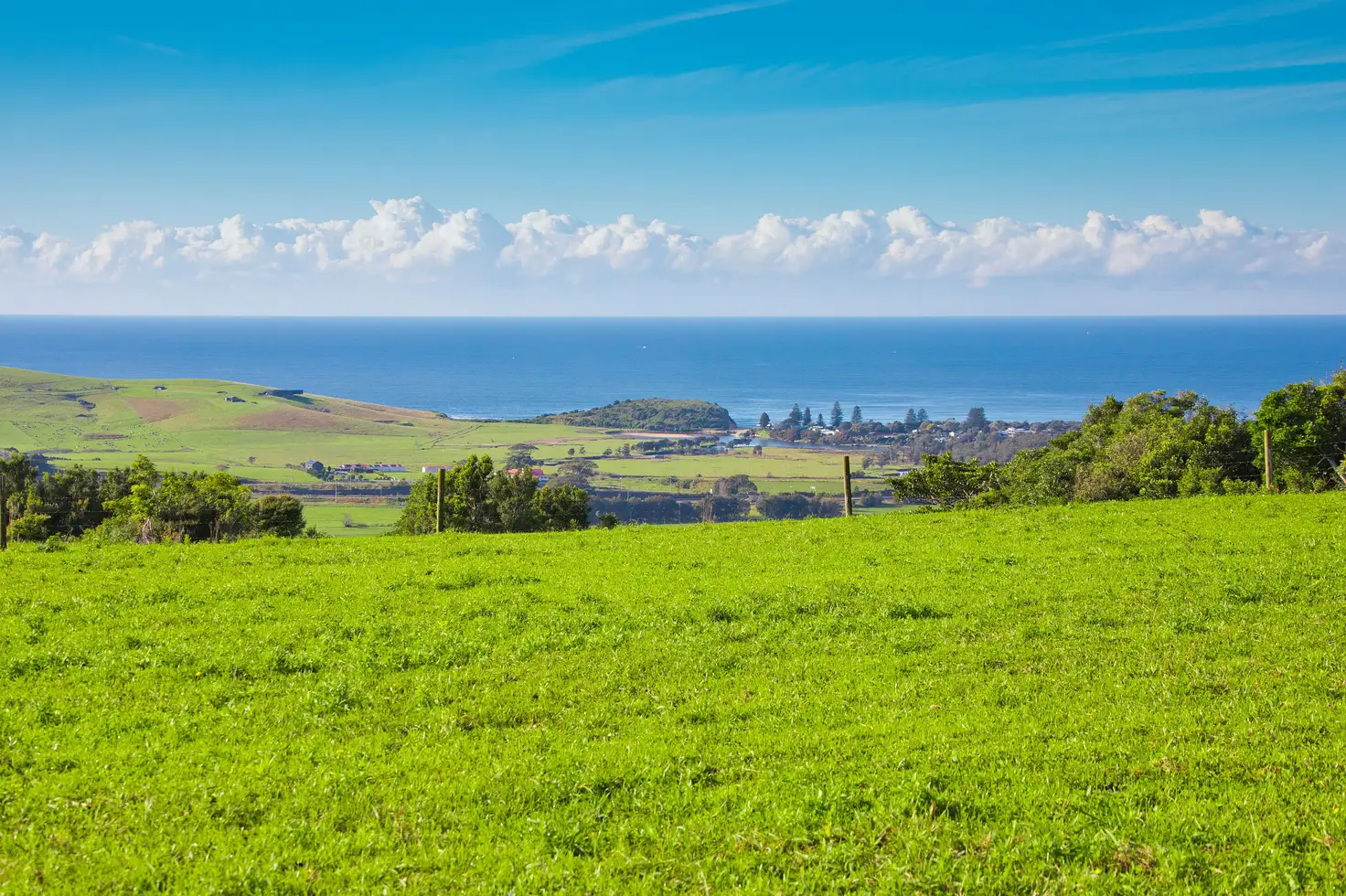 Main view of Homely rural property listing, Lot 201 Rose Valley Road, Rose Valley NSW 2534