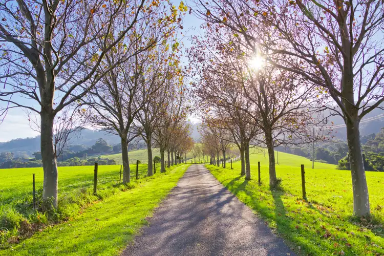 Third view of Homely rural property listing, Lot 201 Rose Valley Road, Rose Valley NSW 2534