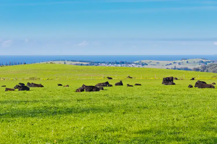 Sixth view of Homely rural property listing, Lot 201 Rose Valley Road, Rose Valley NSW 2534