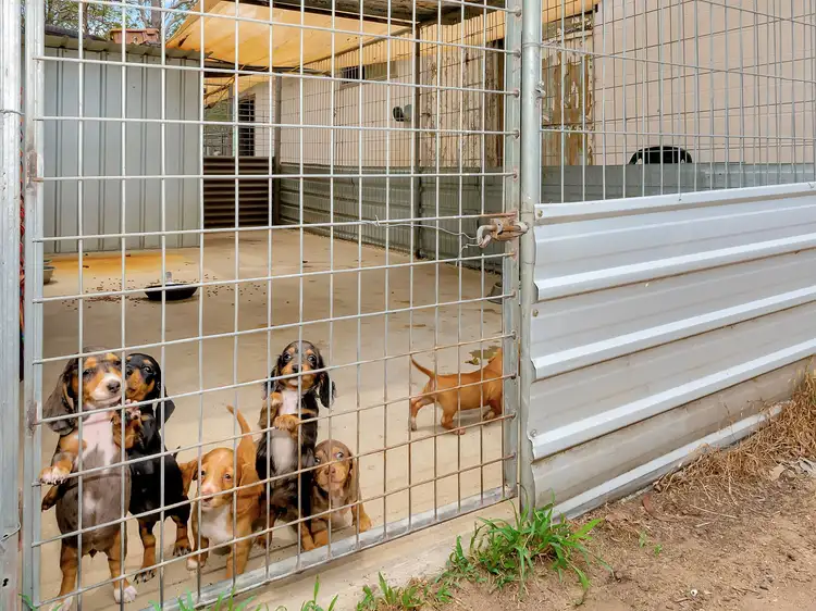 Fourth view of Homely rural property listing, 14 Wotan Road, Churchable QLD 4311