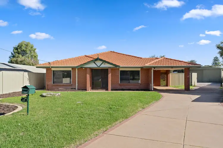 17 Hopkins Place, Waikiki WA 6169