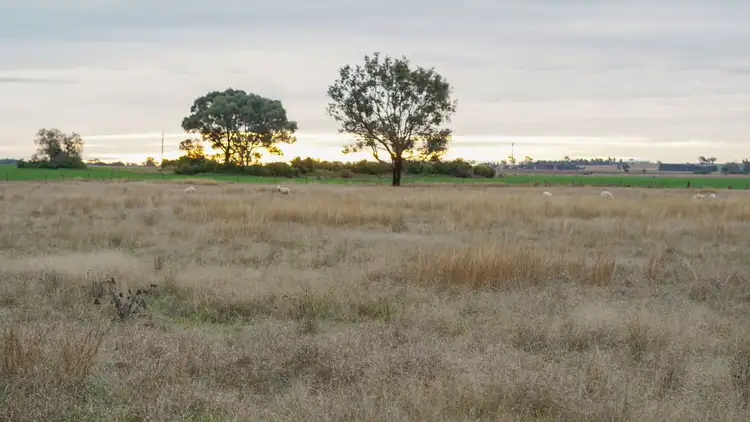 Fifth view of Homely house listing, 365 Calarie Road, Forbes NSW 2871