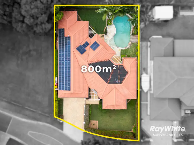 Second view of Homely house listing, 19 Floribunda Street, Sunnybank Hills QLD 4109