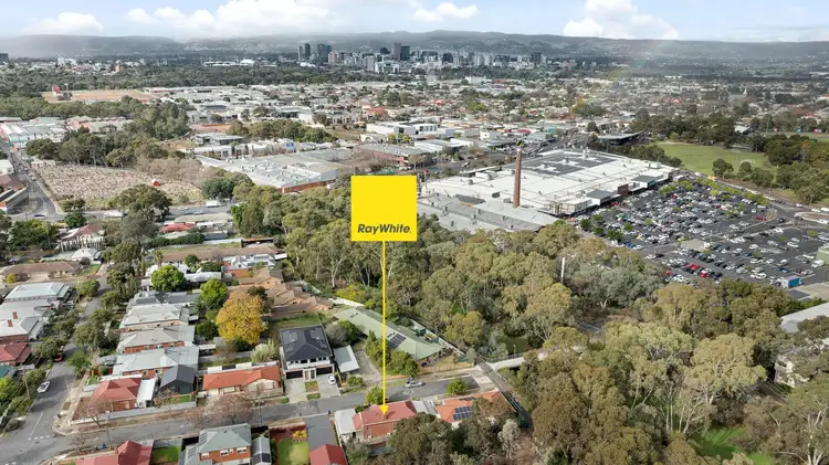 71 McDonnell Avenue, West Hindmarsh SA 5007