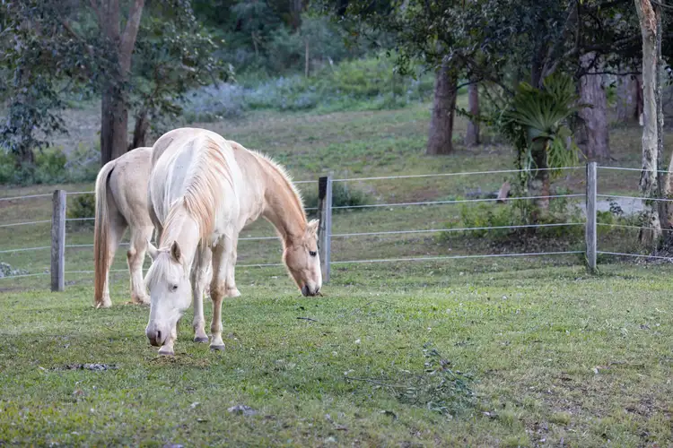 Fifth view of Homely house listing, Lot 10, 104 Robinson Road South, Ocean View QLD 4521
