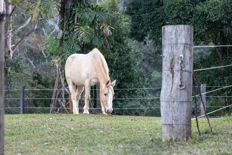 Sixth view of Homely house listing, Lot 10, 104 Robinson Road South, Ocean View QLD 4521