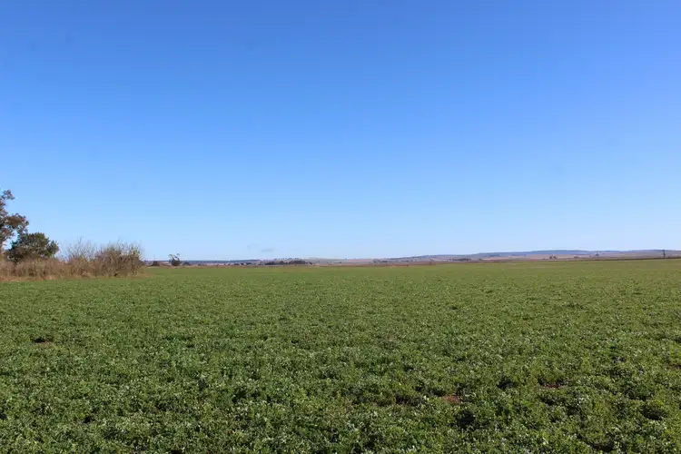 Lot 2 Box Road, Wiyarra QLD 4370
