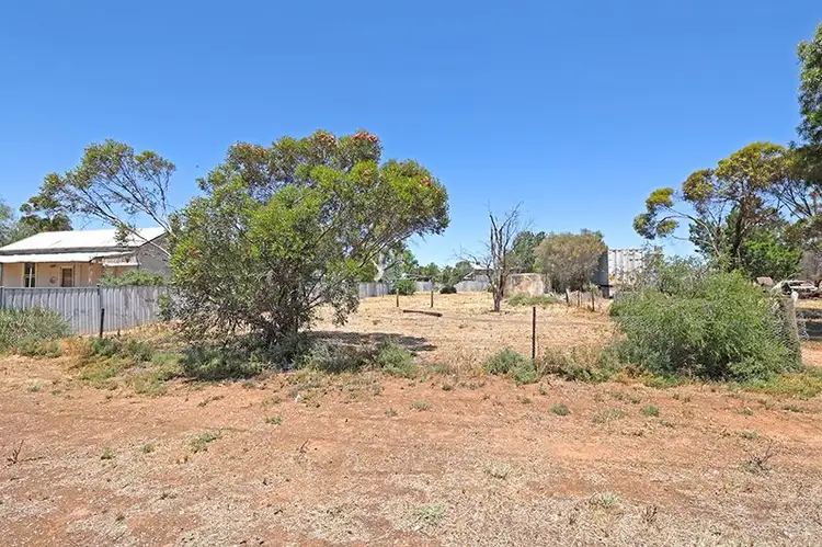Seventh view of Homely land listing, 43 Algerian Street, Patchewollock VIC 3491