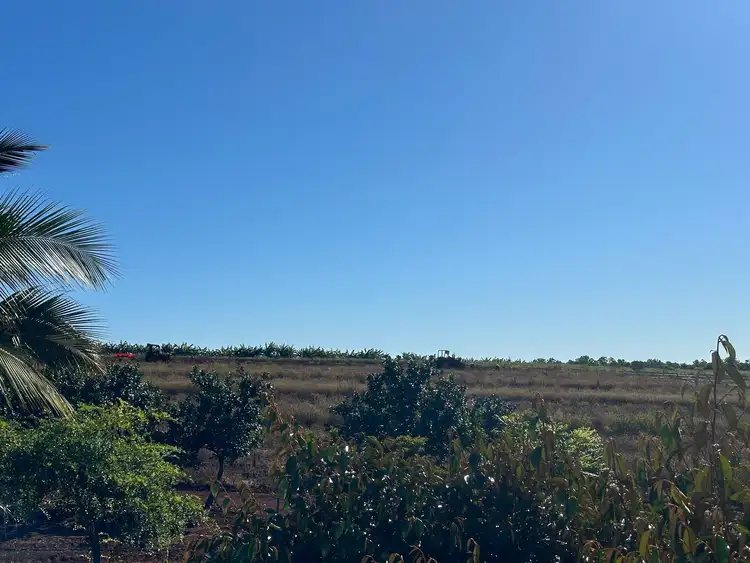 Seventh view of Homely rural property listing, 117 Gorries Road, North Isis QLD 4660
