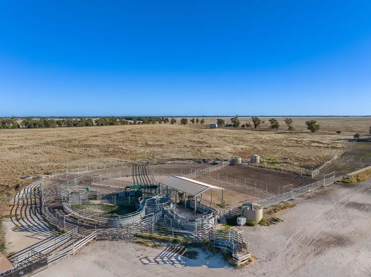 Fifth view of Homely rural property listing, 'Hollymount ' Aggregation 25085 Moonie Highway, St George QLD 4487