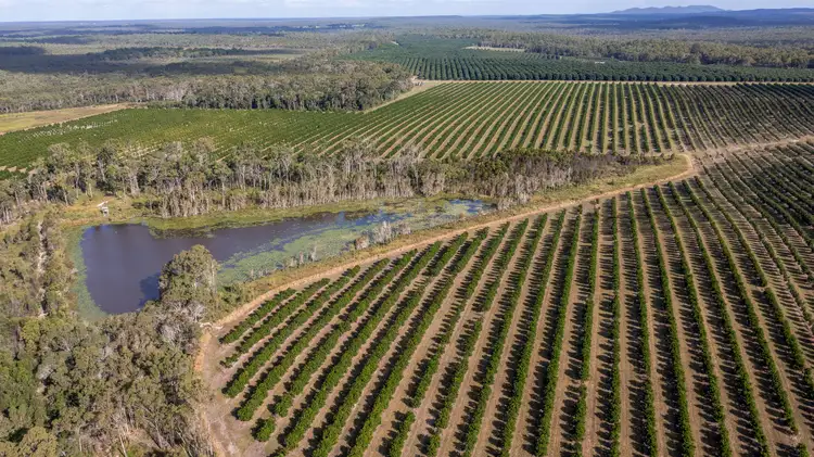 Main view of Homely rural property listing, 239 North Littabella Road, Mullett Creek QLD 4670