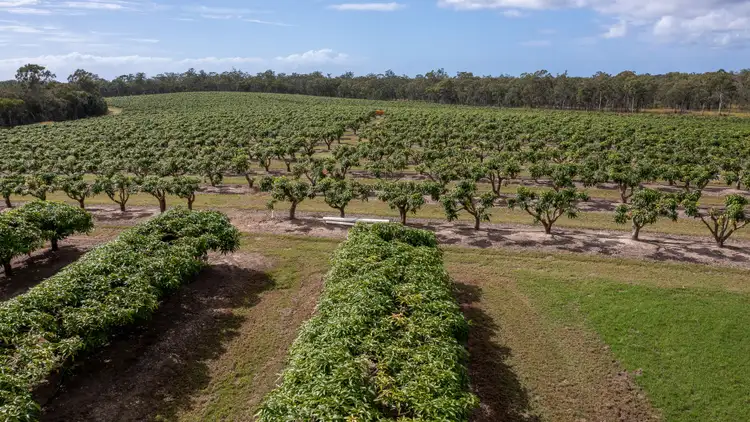 Third view of Homely rural property listing, 239 North Littabella Road, Mullett Creek QLD 4670