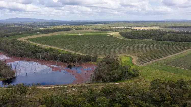 Seventh view of Homely rural property listing, 239 North Littabella Road, Mullett Creek QLD 4670