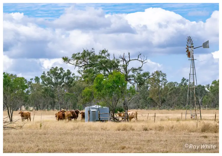 Second view of Homely rural property listing, 1020 Ridgelands Road, Alton Downs QLD 4702