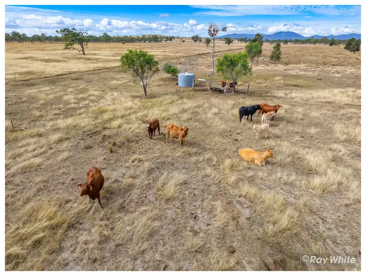 Sixth view of Homely rural property listing, 1020 Ridgelands Road, Alton Downs QLD 4702