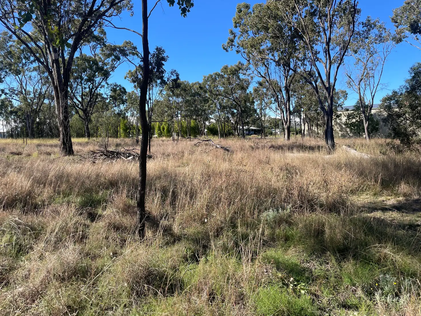 Main view of Homely land listing, 177-180 Daphne Street, Brookstead QLD 4364