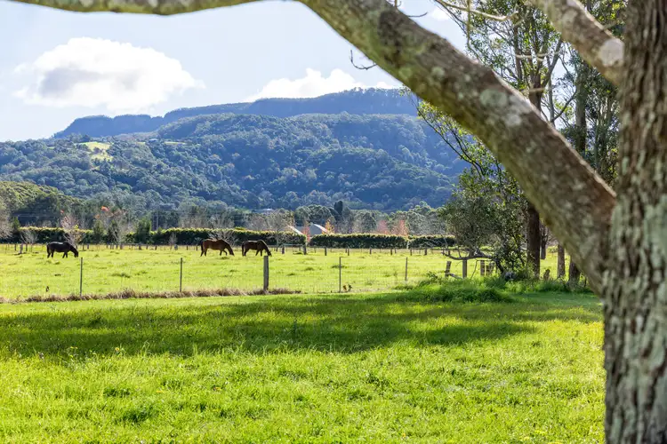 Third view of Homely rural property listing, 89 Woodhill Mountain Road, Berry NSW 2535
