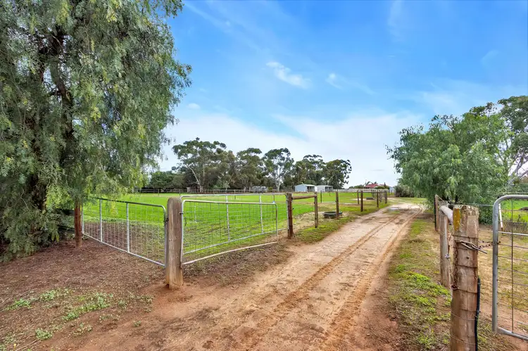Sixth view of Homely house listing, 1900 Two Wells Road, Buchfelde SA 5118