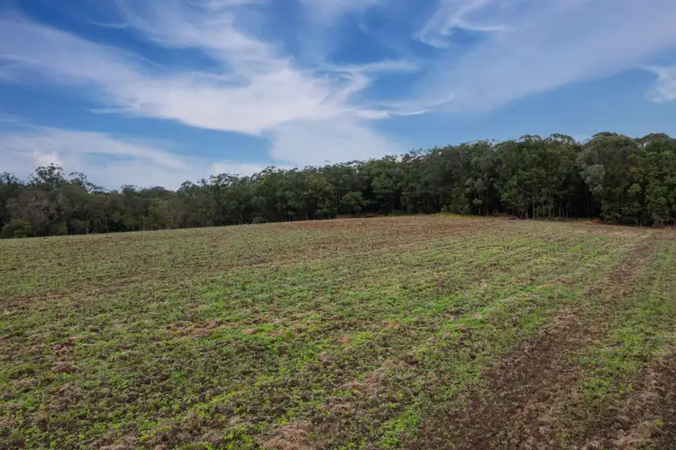Third view of Homely land listing, LOT 42, 8 Central Avenue, Wamuran QLD 4512