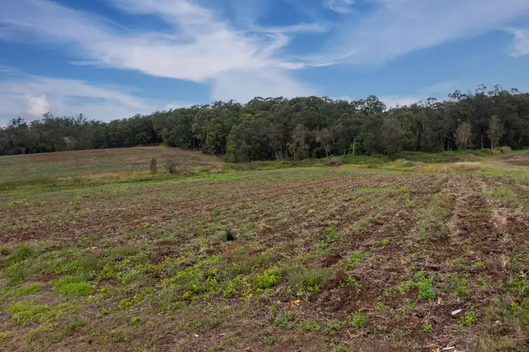 Seventh view of Homely land listing, LOT 42, 8 Central Avenue, Wamuran QLD 4512