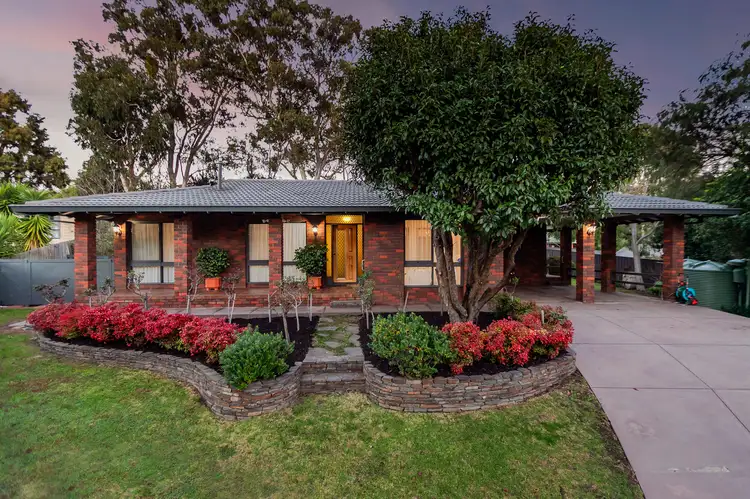 Main view of Homely house listing, 3 Planter Court, Flagstaff Hill SA 5159