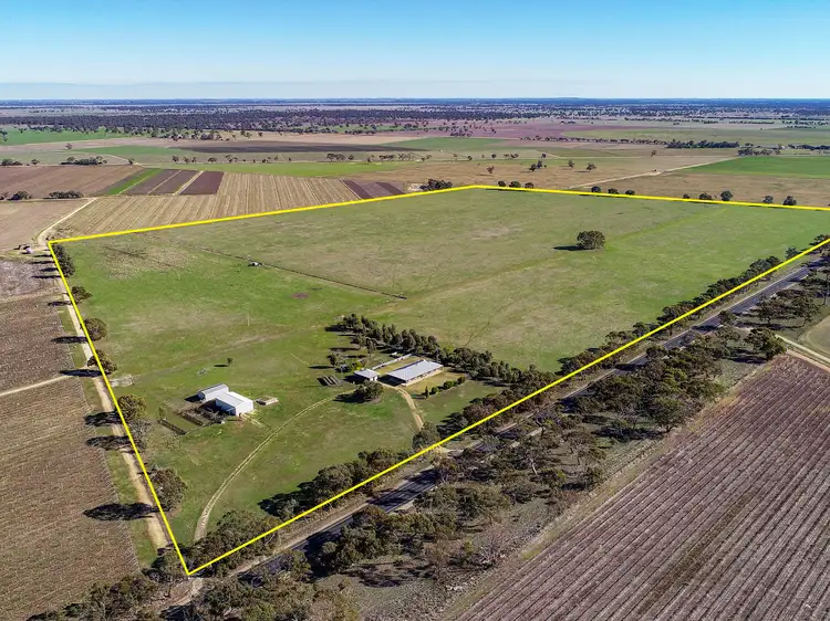 Main view of Homely rural property listing, 5610 Riddoch Highway, Padthaway SA 5271