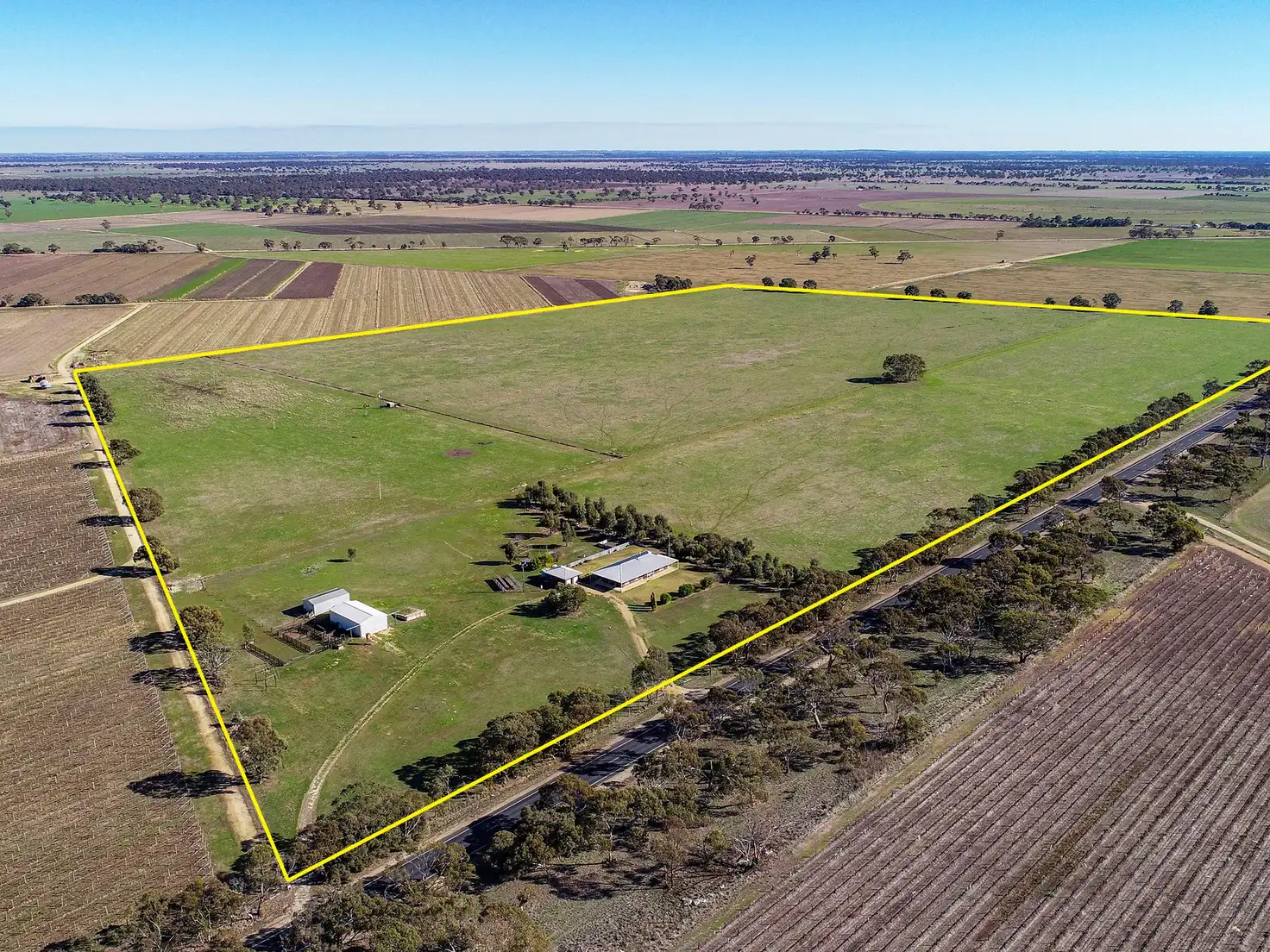 Main view of Homely rural property listing, 5610 Riddoch Highway, Padthaway SA 5271