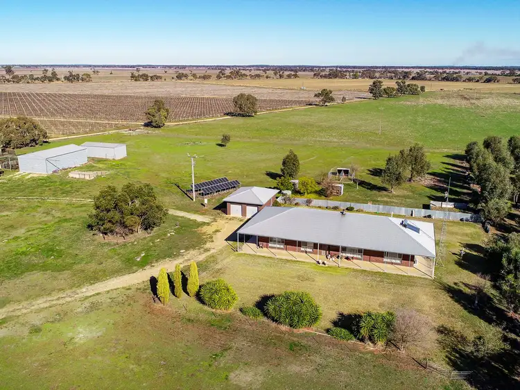 Second view of Homely rural property listing, 5610 Riddoch Highway, Padthaway SA 5271