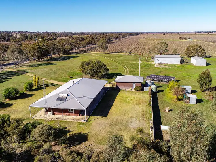 Third view of Homely rural property listing, 5610 Riddoch Highway, Padthaway SA 5271