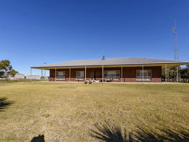 Fourth view of Homely rural property listing, 5610 Riddoch Highway, Padthaway SA 5271