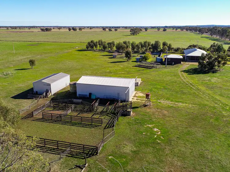 Sixth view of Homely rural property listing, 5610 Riddoch Highway, Padthaway SA 5271