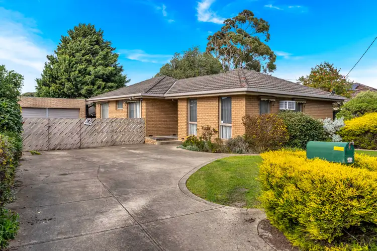 Third view of Homely house listing, 43 Hothlyn Drive, Craigieburn VIC 3064