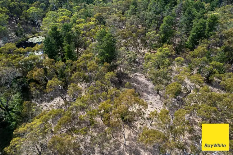 290 Donnelly Road, Bywong NSW 2621