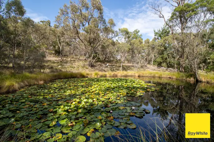 Fourth view of Homely land listing, 290 Donnelly Road, Bywong NSW 2621