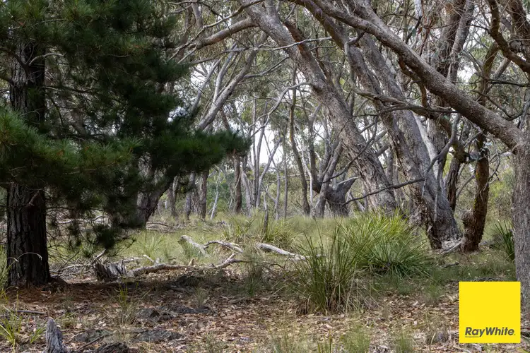 Sixth view of Homely land listing, 290 Donnelly Road, Bywong NSW 2621