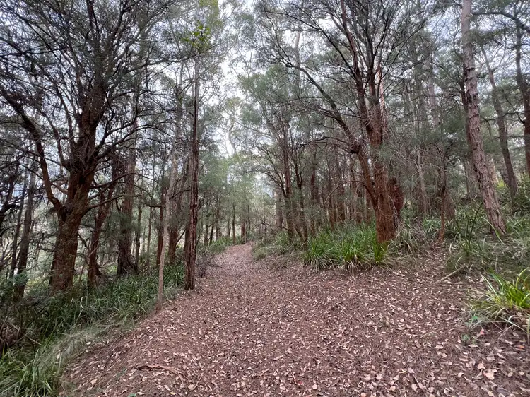 Second view of Homely rural property listing, 51 Pittam Way, Shadforth WA 6333