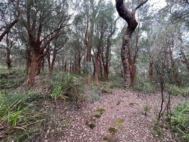 Third view of Homely rural property listing, 51 Pittam Way, Shadforth WA 6333