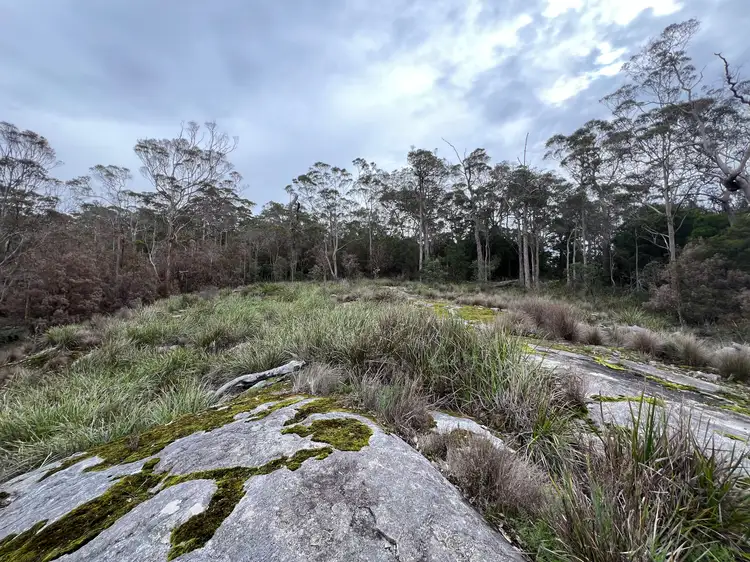 Sixth view of Homely rural property listing, 51 Pittam Way, Shadforth WA 6333
